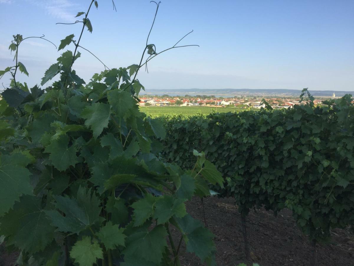 바이덴 암 제 Weingut Krikler 아파트 외부 사진