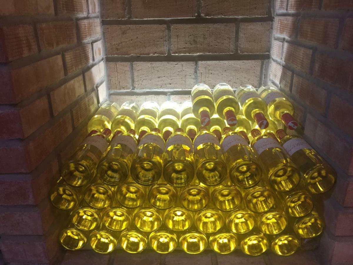 바이덴 암 제 Weingut Krikler 아파트 외부 사진